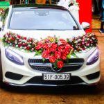 xe-hoa-mercedes