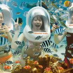 tour-di-bo-duoi-bien-phu-quoc