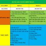 gia-tour-ghep-hon-mong-tay