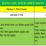 gia-tour-hon-mong-tay