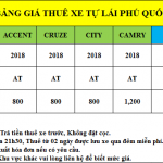 Gia-thue-xe-tu-lai-phu-quoc-2020