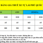 bang-gia-xe-tu-lai-2019